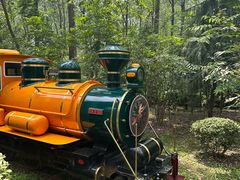 -合肥滨湖国家森林公园