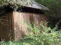 -大湾区中央湿地公园