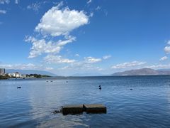 -洱海月湿地公园