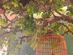 -佬麻雀·剁椒鱼头(京基KK One店)