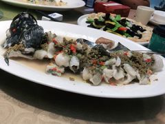 -百年银屏蚝烙·潮汕菜·非遗(乐山店)