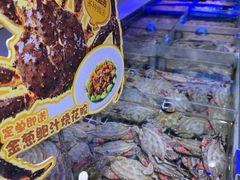 -开海·红岛海鲜虾水饺(石老人店)