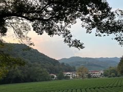 -国生茶庄·地道农家菜团建活动