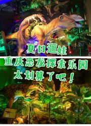 -恐龙探索乐园(磁器口店)