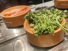 -龍歌自助小火锅(芝罘万达店)