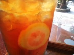 柠檬茶-柴犬高等学院·狗咖·柴犬售卖·宠物训练