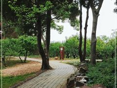 -无锡梅园公园