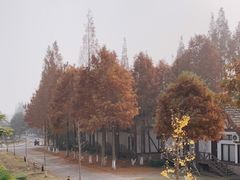 -太阳岛度假酒店