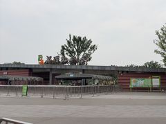 -武汉动物园