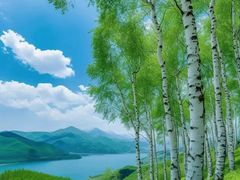 -大九湖
