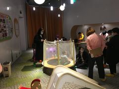 -七田真体验中心(徐东群星城中心)