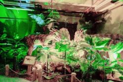 -恐龙探索乐园(磁器口店)