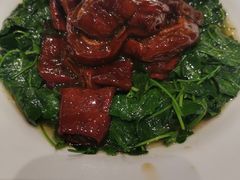 草头圈子-金时代顺风大酒店(协泰店)