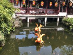 -公园饭店