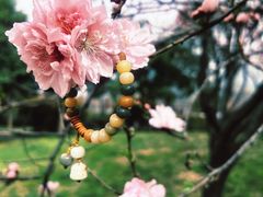 -洨河生态公园