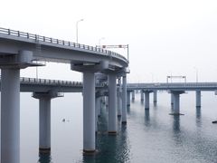 -星海湾跨海大桥