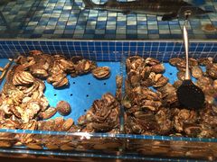 -蓝钻·国际美食海鲜自助百汇(西直门店)