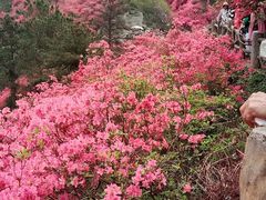 -木兰云雾山