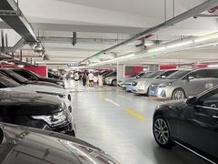 -上海浦东国际机场T1航站楼-P1停车场