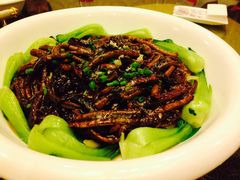 IMG_6087-乾园风尚五大道