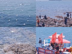 -青岛第一海水浴场