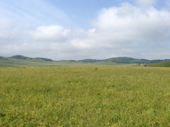 iphone_upload_pic-月亮湖