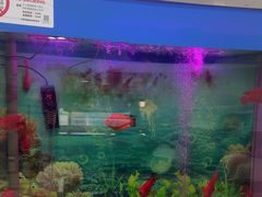 -雅悦齿科(顾村公园店)