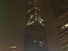 -上海柏悦酒店