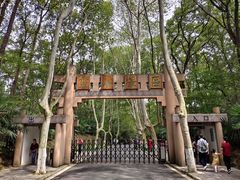 -灵谷景区