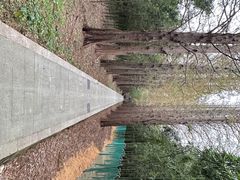 -同里国家湿地公园