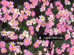 -剪刀石头布家居广场