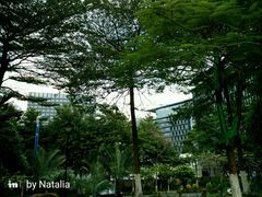 -怡海公园(桂城街道)