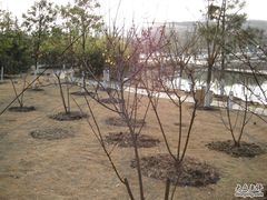 -白塘生态植物园