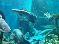 -多彩贵州城极地海洋世界