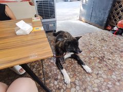 -大象厨房(重庆道店)