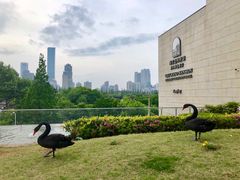 -南京圣和府邸豪华精选酒店