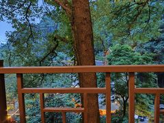-巴倒烫陆派重庆火锅(南山店)
