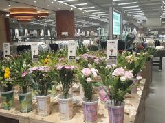 -合景·悠方(成都店)