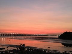 -宝安西湾红树林湿地公园