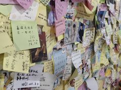 -沉香牛肉面