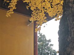 -上海青龙寺