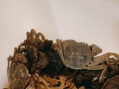 -御品海宴海鲜自助餐厅(龙岗万科广场店)