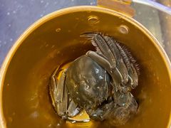 -九月海·海鲜自助(世纪东方店)
