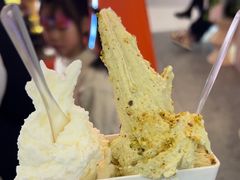 -野人先生现做冰淇淋(北京王府井东方新天地店)