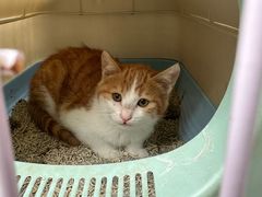 -天津前进宠物医院(前进道店)