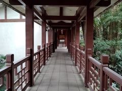 -南山植物园