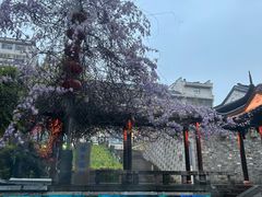 -夫子庙秦淮河画舫
