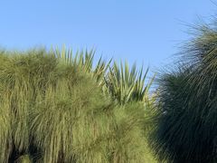 -深圳湾公园(南山区)