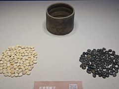 -邹城博物馆