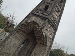 -上海佘山国家森林公园天马山园